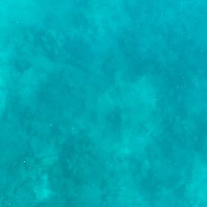 Meet your Posher, Ahmed